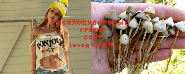 прущая мука Арсеньев