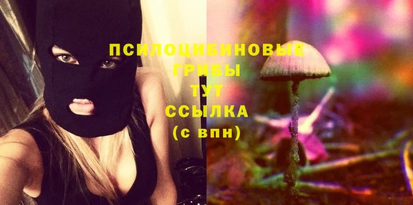 прущая мука Арсеньев