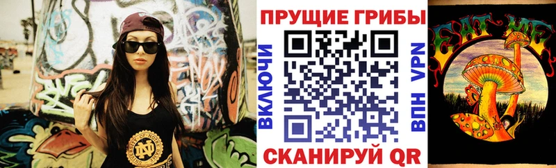 Псилоцибиновые грибы Psilocybe наркошоп Старая Купавна